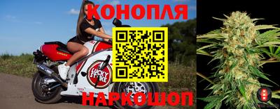 шишки Татарск