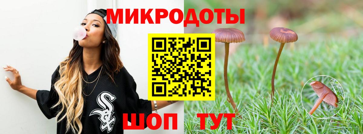 Нововоронеж  Галлюциногенные грибы мицелий  Галлюциногенные грибы мицелий  Вход с VPN 