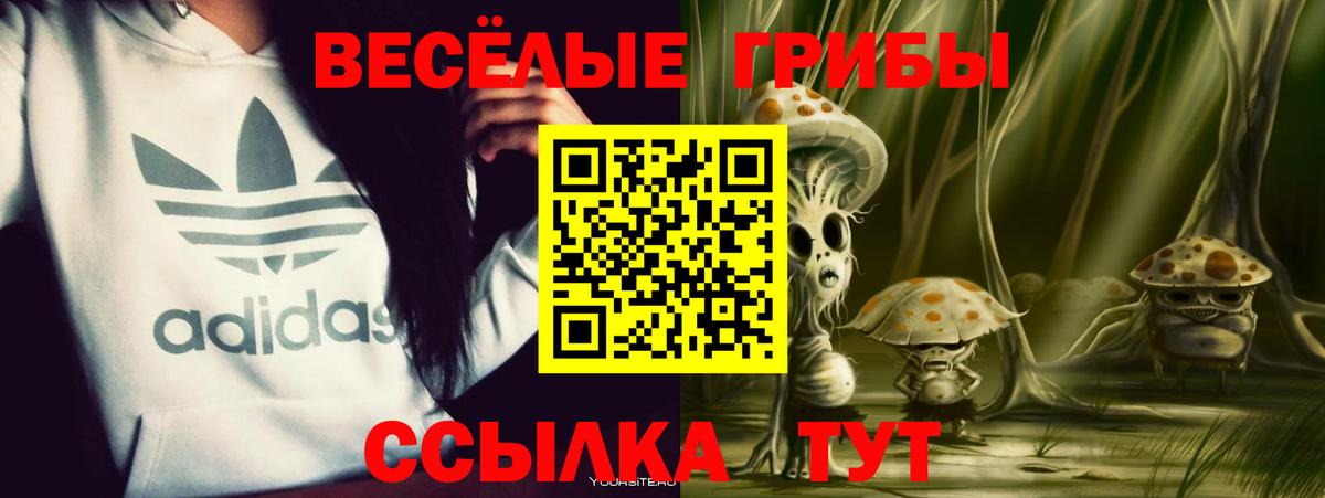 Галлюциногенные грибы Cubensis Нововоронеж